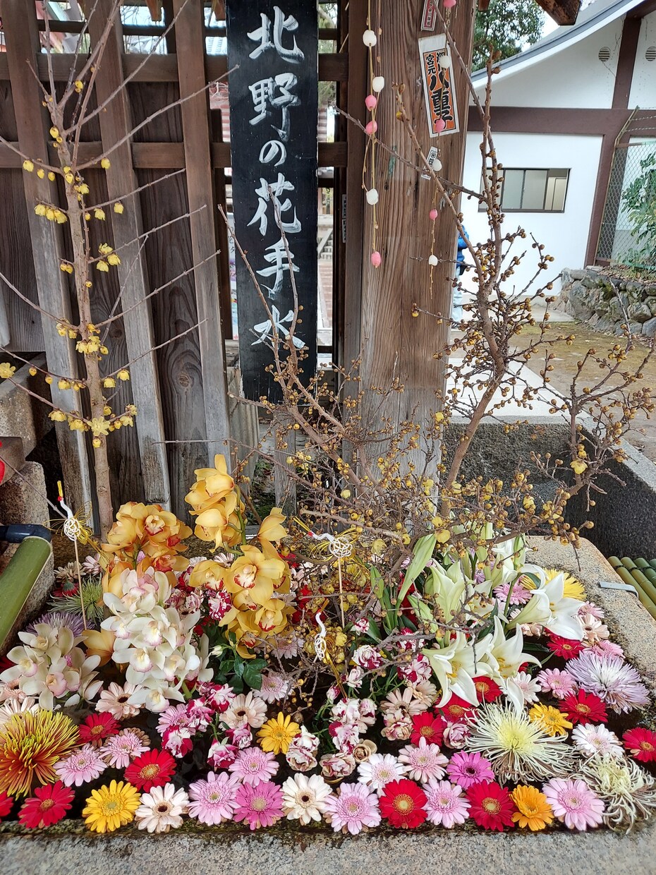 毎日の吉方散歩に最適♪吉方位と日・時間を占います 毎日気軽に吉方を取り入れて開運しませんか。20日まで鑑定 イメージ2