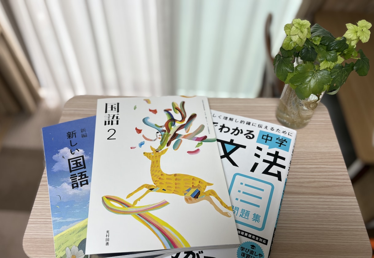 現在リピーター様限定　中学生の国語をサポートします 定期テスト対策をしっかりやっていきましょう。 イメージ1