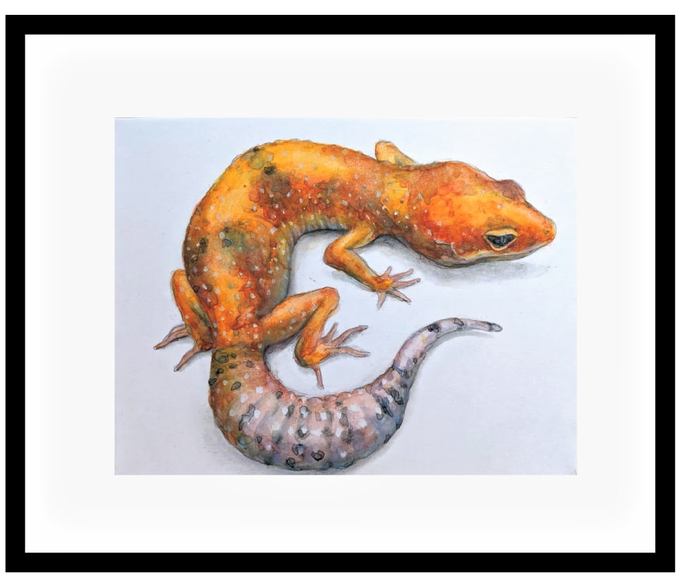 ペットのリアルな肖像画（水彩・色鉛筆画）描きます 犬・猫・小動物・爬虫類・魚・昆虫など。原画を郵送いたします。 イメージ1
