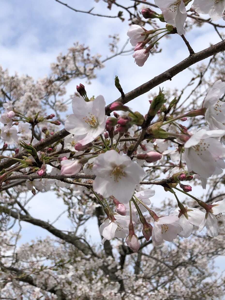 気軽にお話しください。あなたのお悩みに寄り添います モヤモヤを減らすと、明るい未来が描けるようになります。 イメージ4
