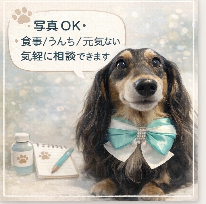 犬の体調・食事・生活の不安相談でき（写真OK）ます 大丈夫かな？と思った時のわんこの保健室です。 イメージ2
