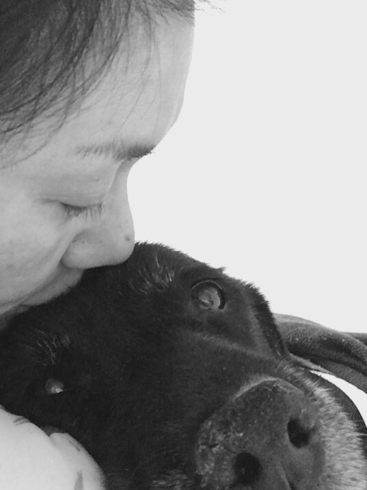 ワンちゃんの介護・介助方法をお手伝いします 認知症のワンちゃんの近くに〇〇は置いちゃダメ！〜お部屋編〜 イメージ4