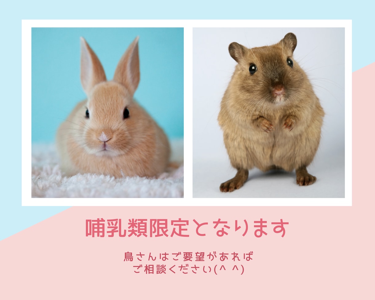 大切な家族ペットを、遠隔ヒーリングで癒します レイキのスペシャリストによるヒーリング（飼い主さんもOP有） イメージ2