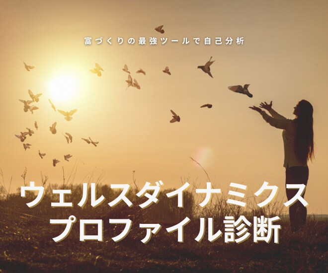 富づくりの最強ツールであなたの才能タイプ診断します 富作りの最強ツール「ウェルスダイナミクス」プロファイル診断 イメージ1