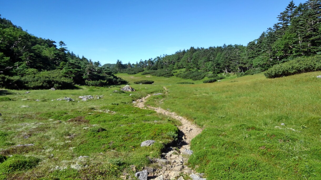 初めての登山のお手伝いします 誰もが最初は初心者ですっ。何でも聞いてください。 イメージ4