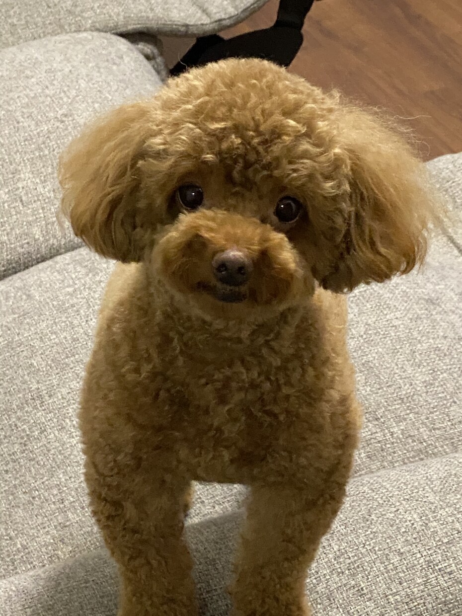 お話しを聞いて貴方を幸せにします 話しを聞いて幸せにする力を持っています❣️ イメージ2