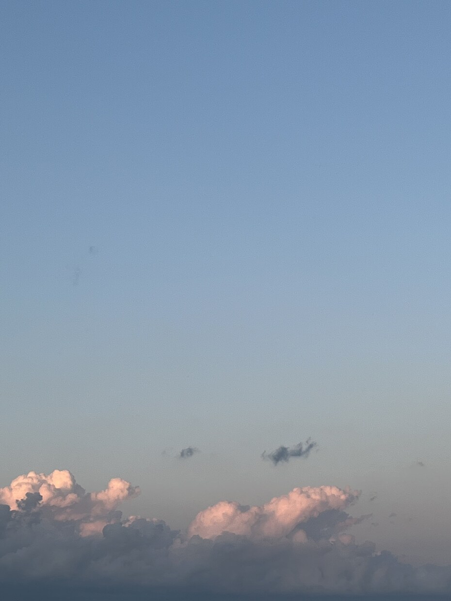 海や空、花など主に自然を対象とした写真を提供します 鮮明でイキイキとした風景を、静かで朧げな写真で残します！ イメージ5