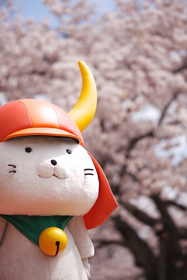 こころに思う事お話し聞きます 話して気持ちを楽にましょう。こころの整理してみませんか。 イメージ1