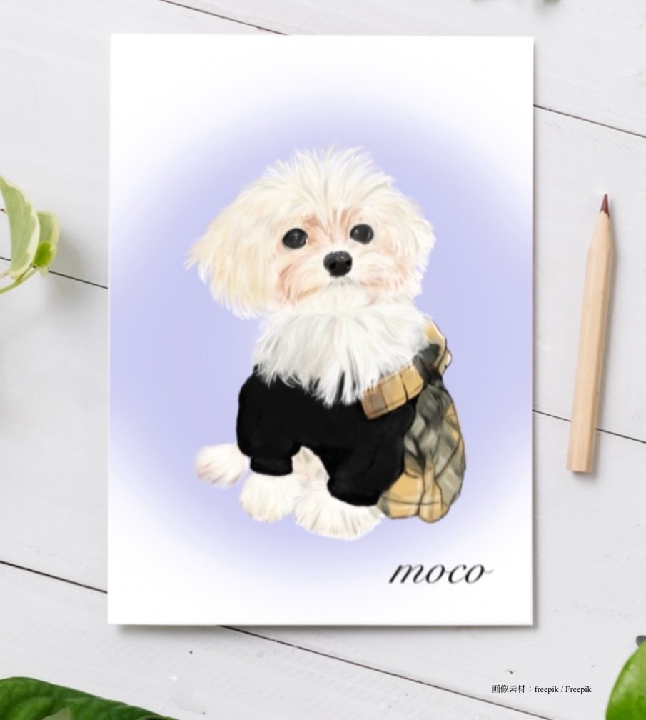 ふんわり優しいペット似顔絵を心を込めて描きます お写真をもとに、やさしい雰囲気で丁寧にお描きします イメージ1