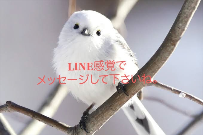 1時間1500円で現役看護師がお悩みを聞きます どんなお悩みもしっかり聞かせてもらいます。 イメージ1