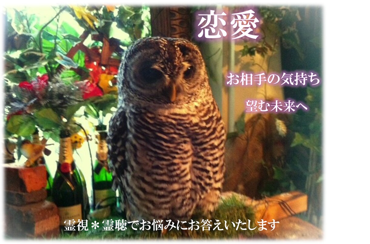 あなたの【恋の行方】占います 迷った時の道しるべ✨あなただけのガイドになります☆彡 イメージ1