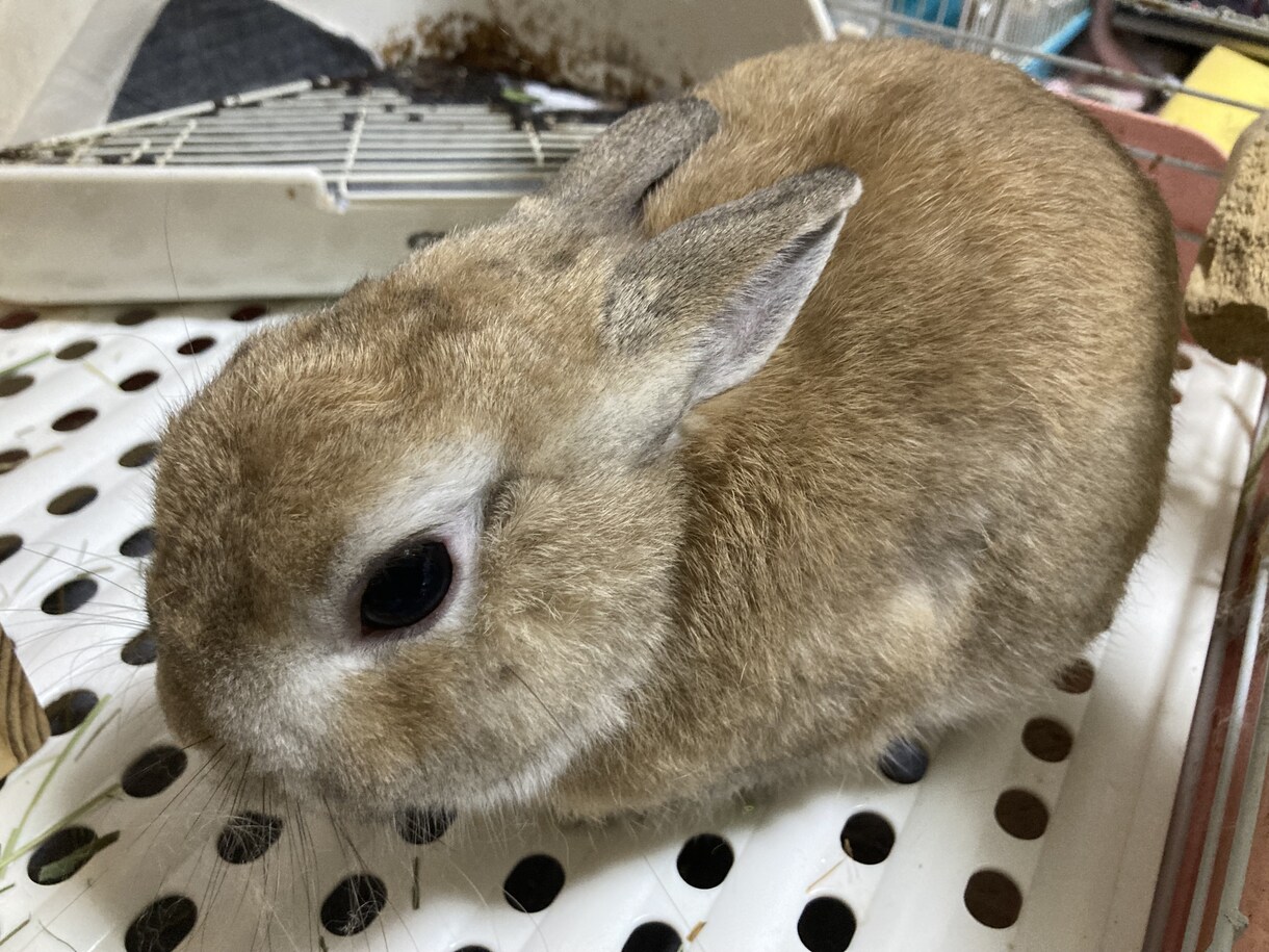 些細なことでもお話しおきかせください！力になります 心のこと　不安　悩み　苦悩色々あると思いますおきかせください イメージ1