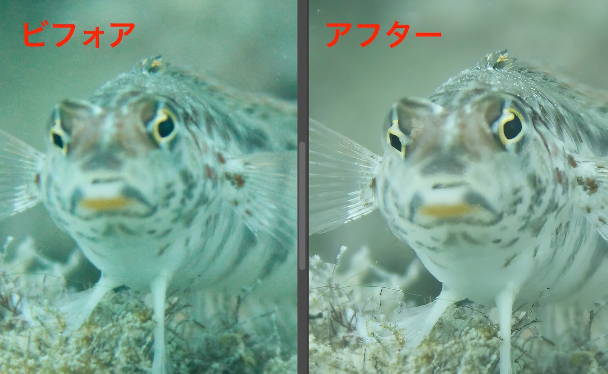 低画質の写真を高画質に甦らせます 画像サイズは更に大きく高解像度に、大切な思い出を鮮明に！ イメージ5