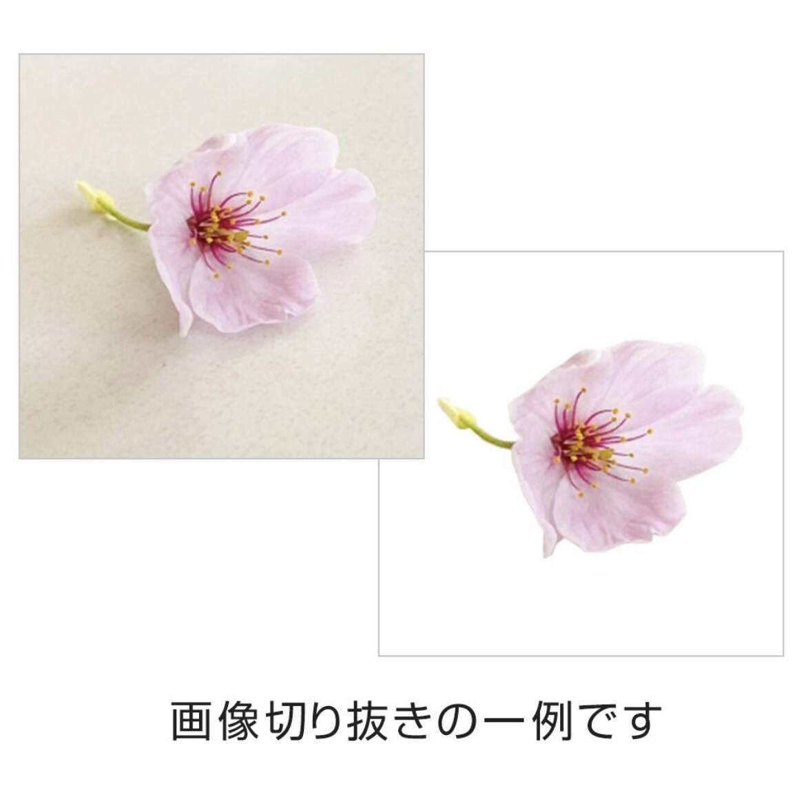プロのデザイナーが写真加工します 写真のレタッチ！人物合成など対応します♪ イメージ2