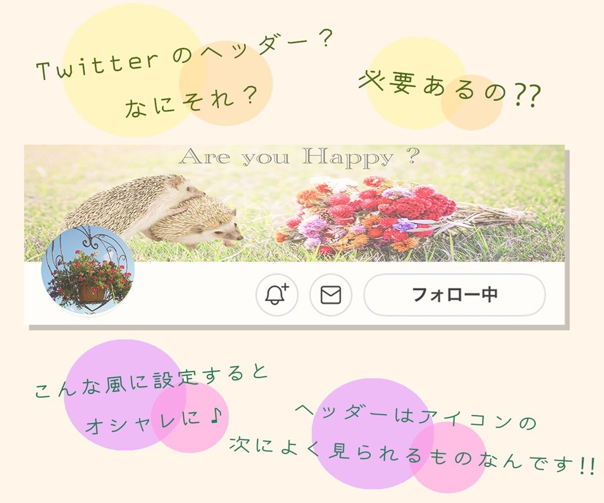 X(Twitter)のヘッダー作成します X(Twitter)のヘッダーをオシャレにしましょ♪ イメージ3