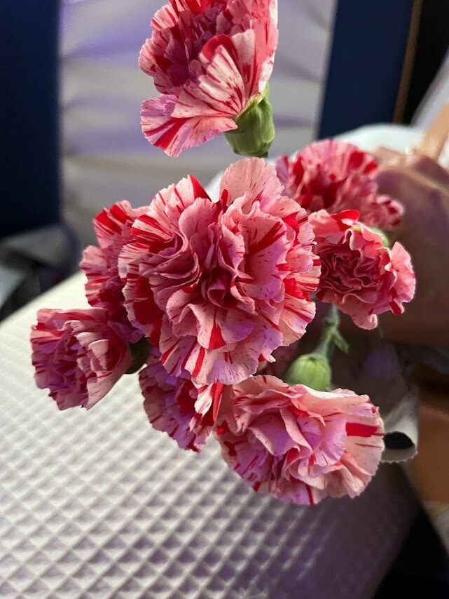 お花からのメッセージをお伝えします 気になったお花のお写真から、お花のメッセージをお伝えします イメージ9