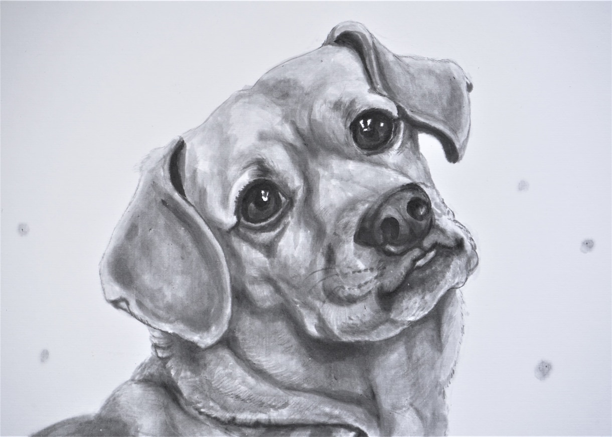 犬と猫の肖像画描きます 水墨画で肖像画を残しましょう。墨は千年以上劣化しないので イメージ2