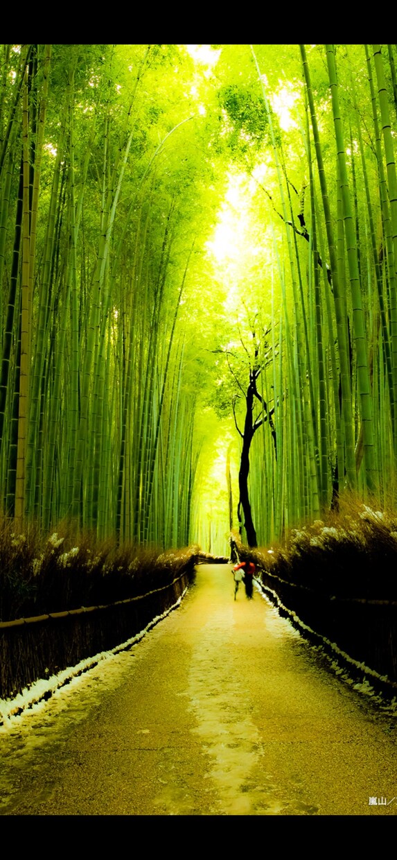 あなたのお話しに寄り添い、心の重みを軽くします あなたのお悩み、愚痴、世間話、人間関係どんな話も聞きますよ イメージ1