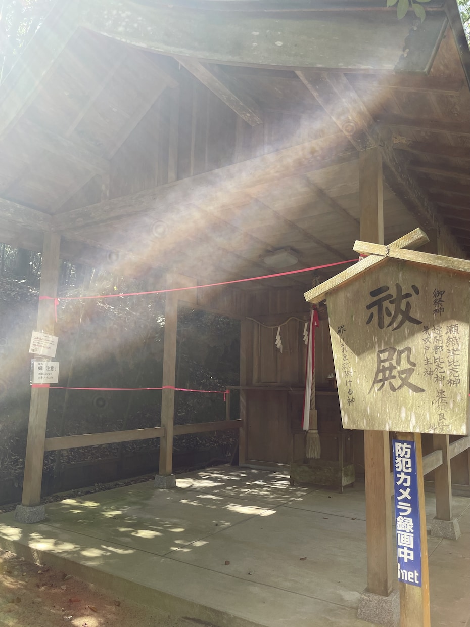 瀬織津姫の清めの桜のアチューメントします 私が瀬織津姫様、龍神様より受け取りましたエネルギー イメージ2