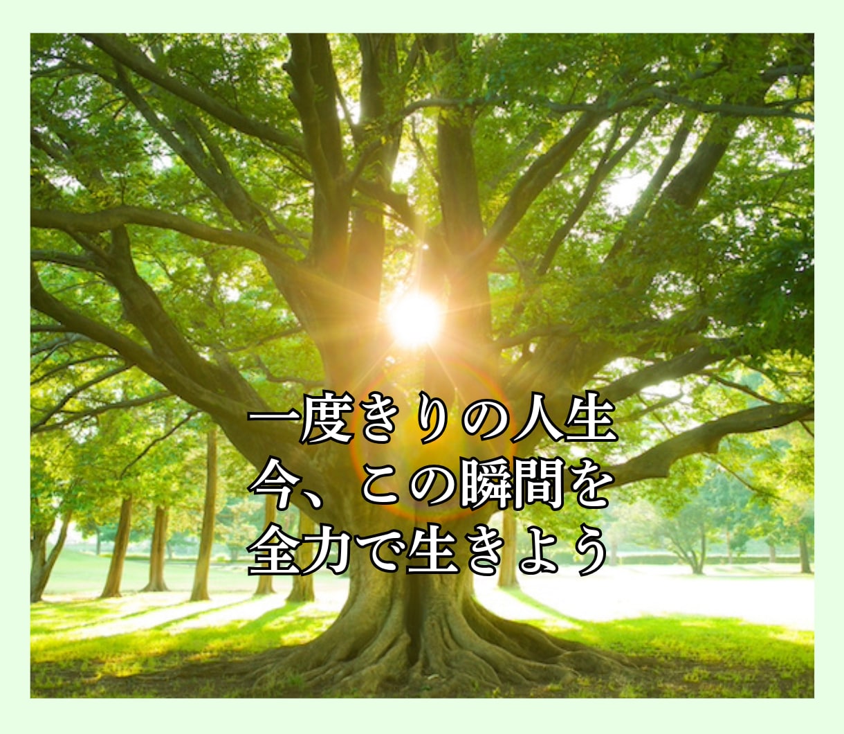 波乱万丈こそが輝かせる✨人生物語♡聴かせて頂きます 喜びも涙も人生の彩り✨あなたの人生経験と歩みを教えて下さい✨ イメージ8