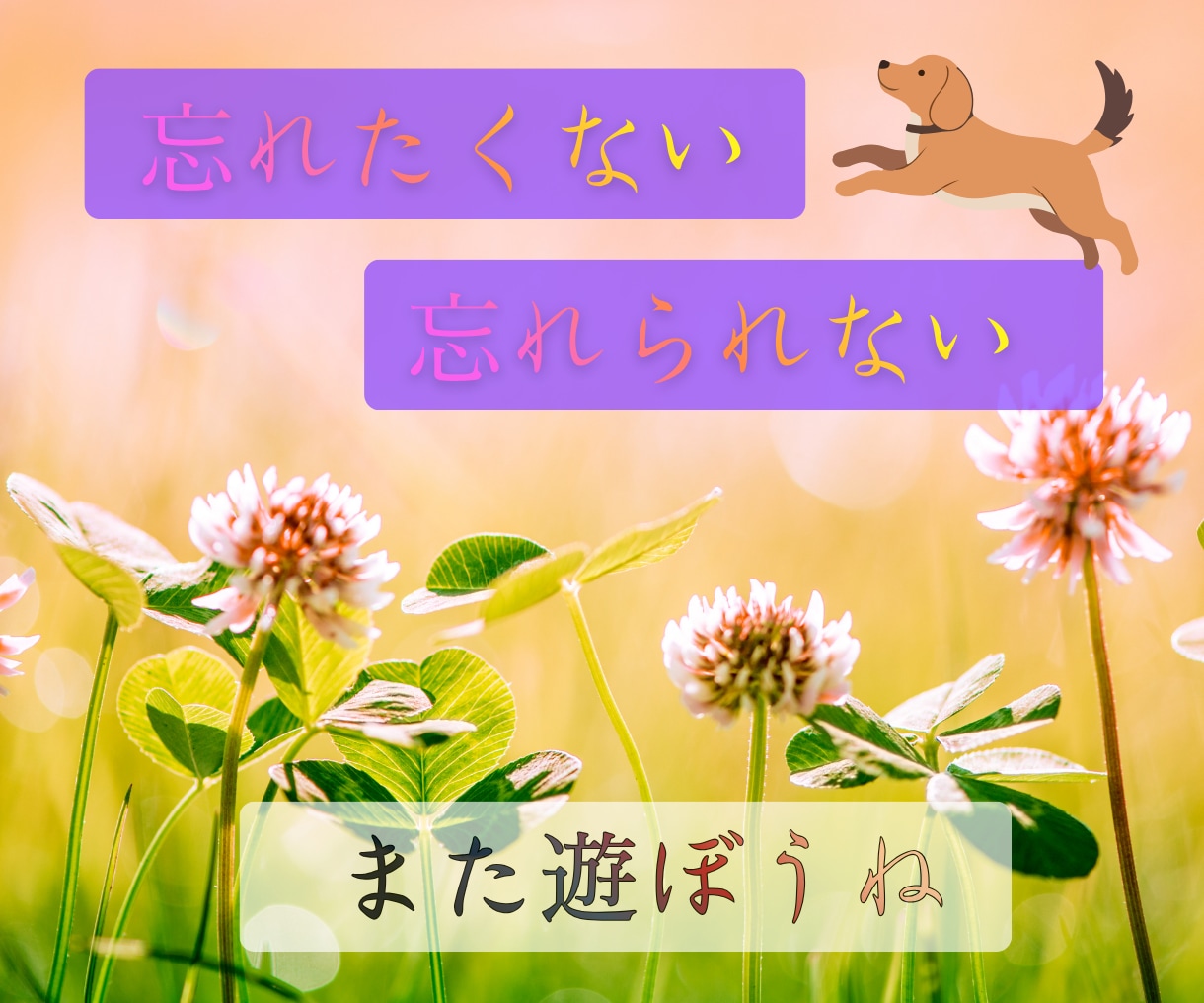 ずっと大切な家族　ペットロスの悲しみ、お聴きします 可愛いしぐさ、純粋な魂、忘れられない感触、愛おしいよね イメージ4