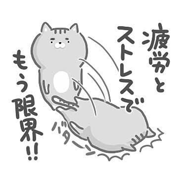 ツラい人間関係、どんな話も聞きます 人間関係でお困りのあなた、人前では言いにくい事でも大丈夫 イメージ4