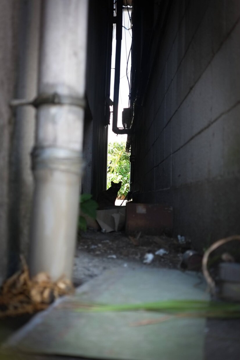 Lightroomでエモい写真編集できます SNSのアイコンや背景画、投稿画像にこだわりたい方は是非！ イメージ9
