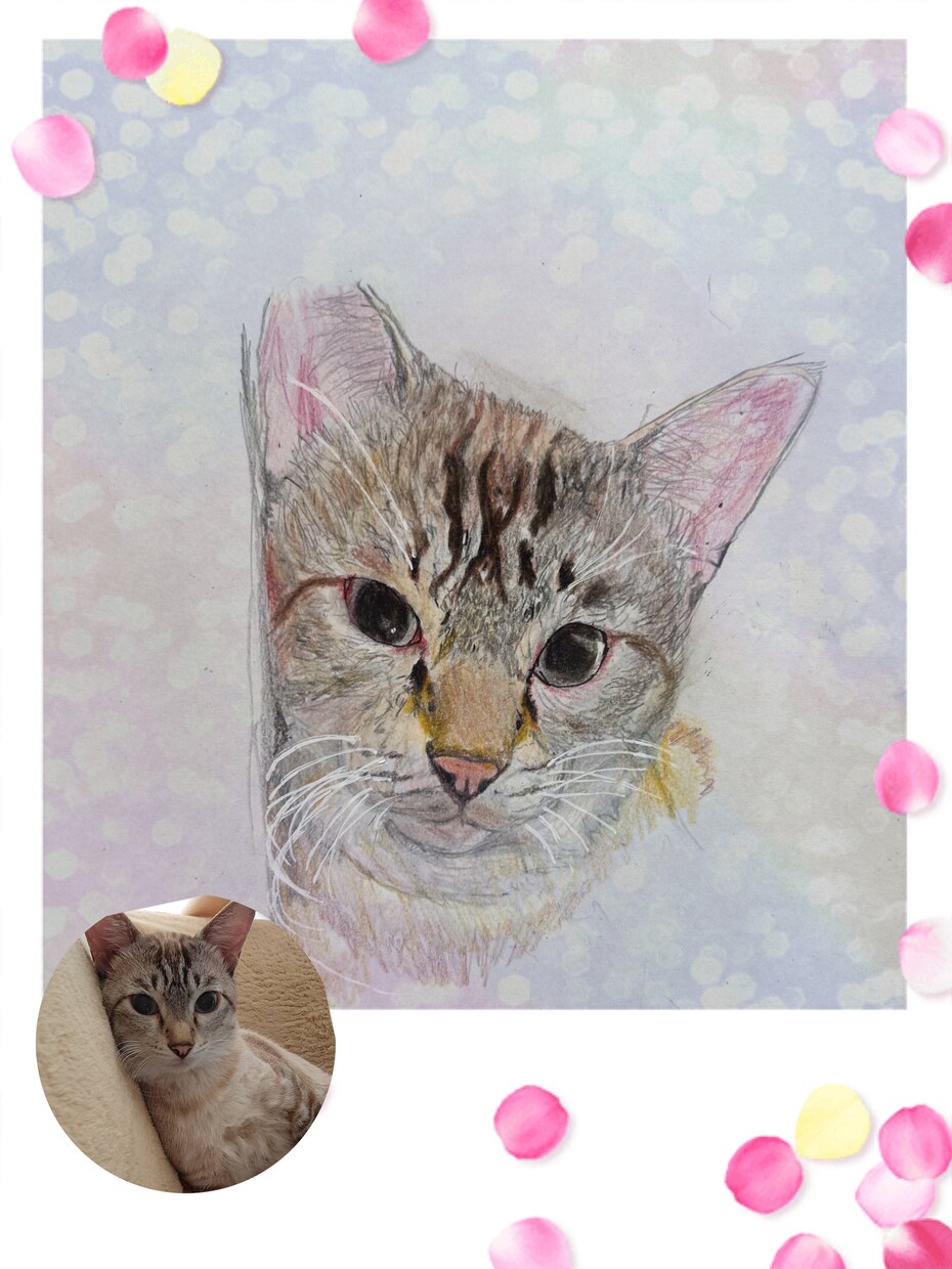 お家の猫ちゃんの似顔絵描きます 色鉛筆で丁寧に仕上げます！！お顔中心に描かせて戴きます。 イメージ5