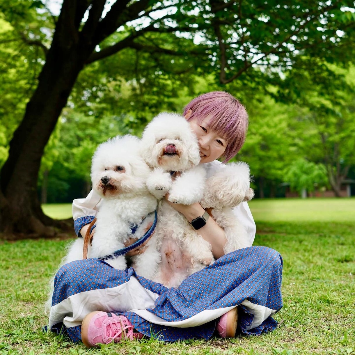 あなたの愛犬に合ったブラッシングをレクチャーします 経験豊富なトリマーによるお手入れオンラインレッスン イメージ4