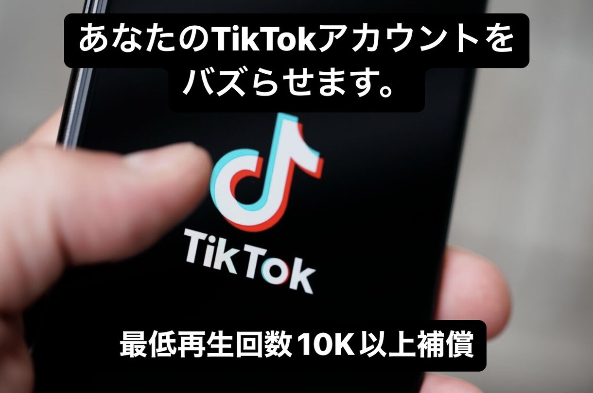 バズるTikTokコンサルティング（全工程）します 動画の企画考案・編集全てお任せください。 イメージ1