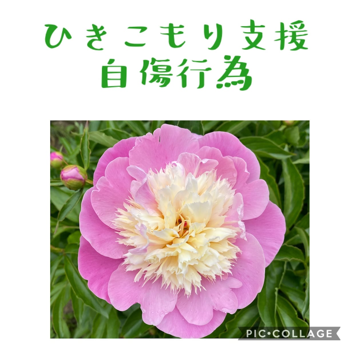 中絶後の心のケア、供養の仕方などアドバイスします 中絶された方、過去の中絶で苦しんでいる方のお力になります。 イメージ8