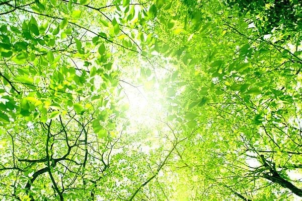 その心のモヤモヤ、全部吐き出すとすっきりします 喜怒哀楽、どんなお話も受付中！sukkirikoでスッキリ！ イメージ1