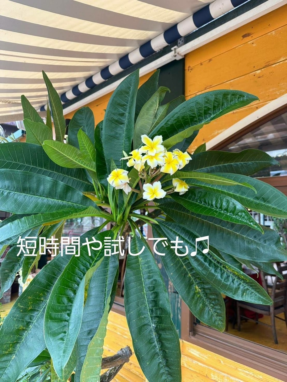 誰かと話したい時や悩みごとがあるとき、お話聞きます １分でも(^^)お話ししませんか☆ イメージ1