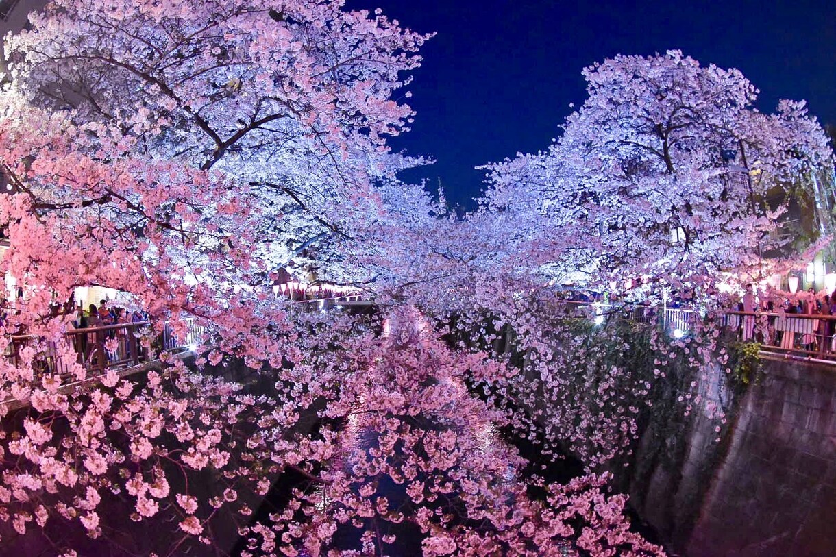 撮影代行！素敵な写真を提供致します 都内の各種イベント、展示会、花火大会などの撮影を代行致します イメージ7