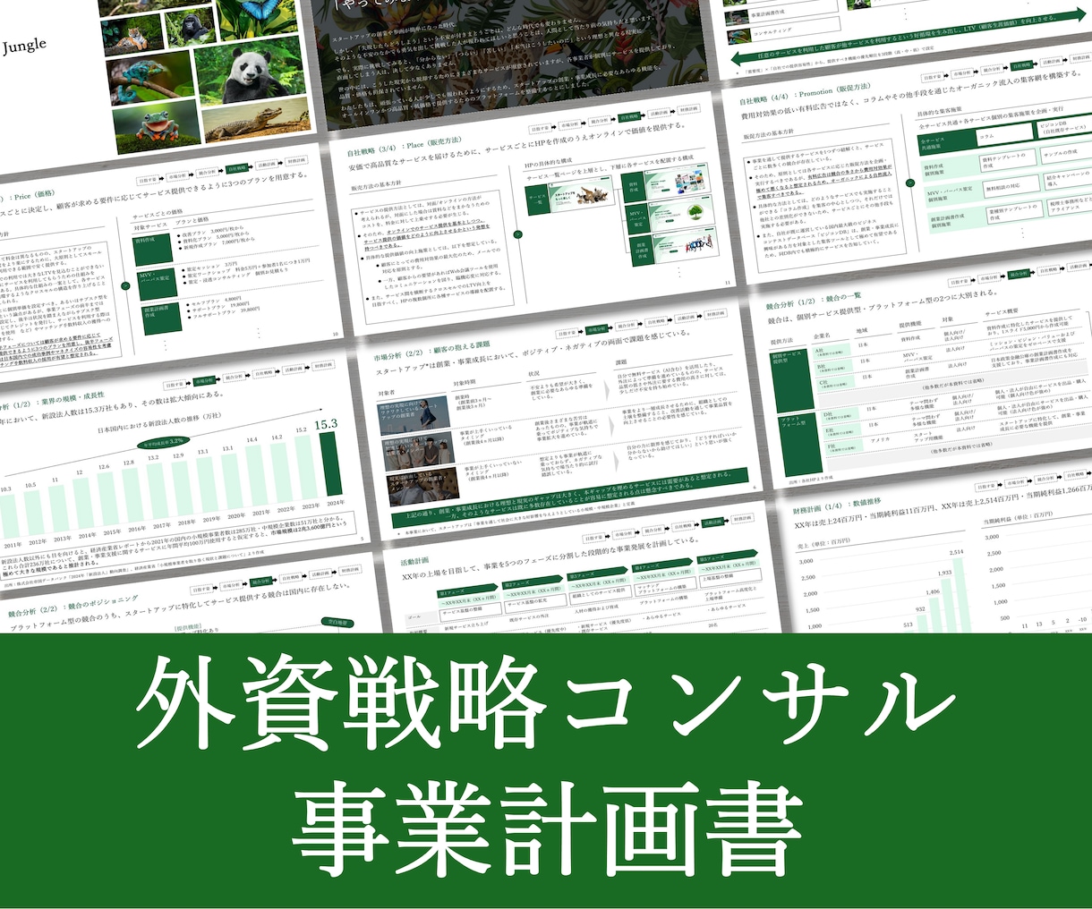 外資戦略コンサルが事業計画書を作成します 新規出品のため実績10件まで半額キャンペーン中！ イメージ1