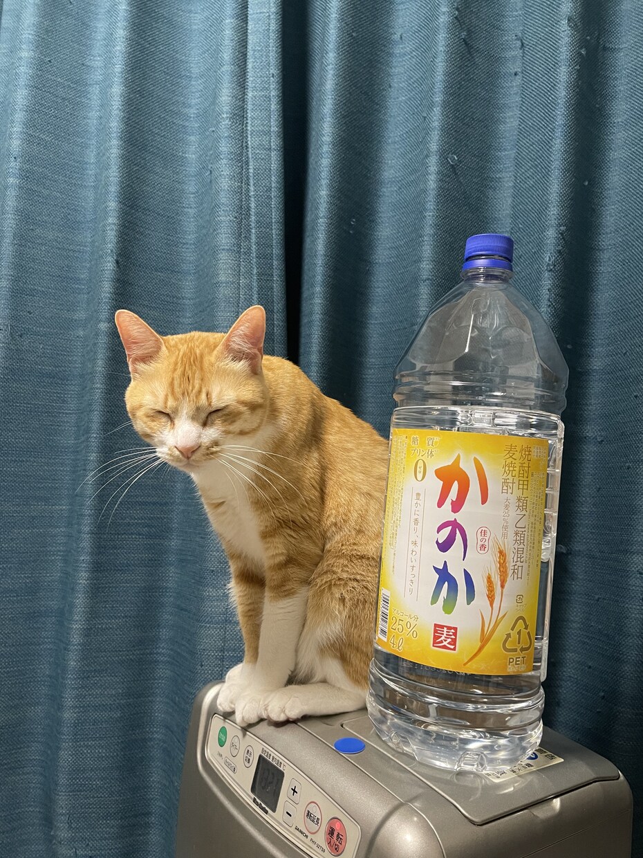 愚痴をお聞き致します ストレス発散しませんか？愚痴を思いっきりぶつけてください。 イメージ3