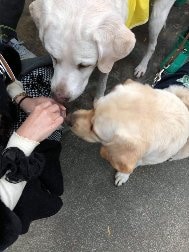 ペットのお話を聞かせて頂いてます うわさ話や自慢話など、気軽にお話下さい。 イメージ1