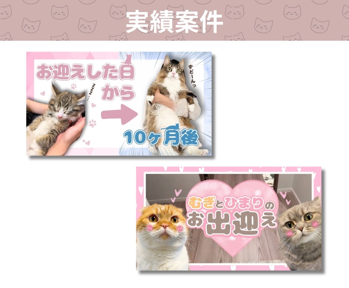 パッと目を引く動物のサムネイル制作します プロが制作！クリック＆再生数が上がる！YouTube集客に♪ イメージ6