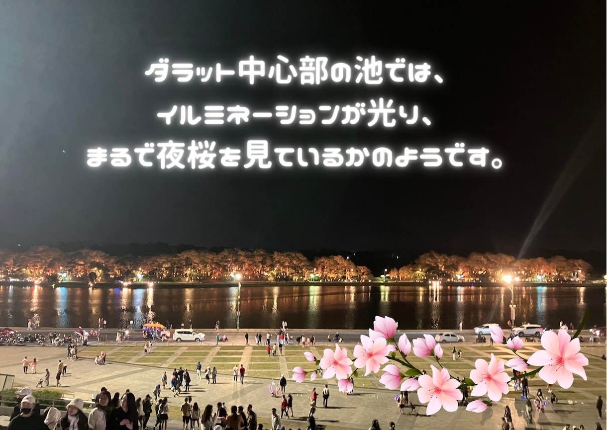 初心者、中級者向け、ベトナム語のレッスンを致します ベトナム語の発音、特に重要な声調のコツを教えます！ イメージ4
