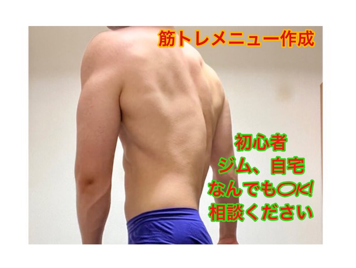 あなただけのトレーニングメニューを作成します 週1でも2でも！筋トレをはじめたい方のメニューを作成します！ イメージ1