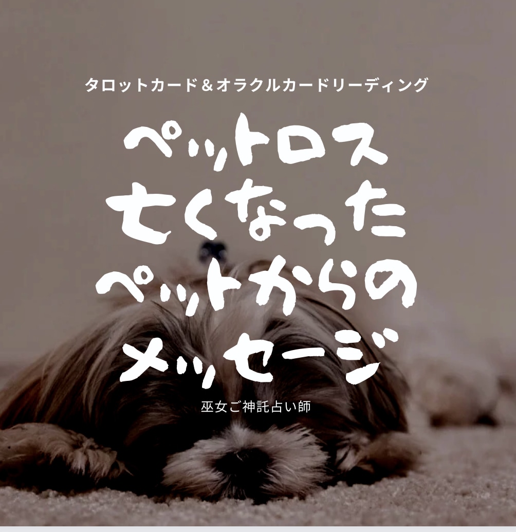ペットロス・亡くなったペットのメッセージ占います ペットの種類は問いません。亡くなったペットからのメッセージ イメージ1