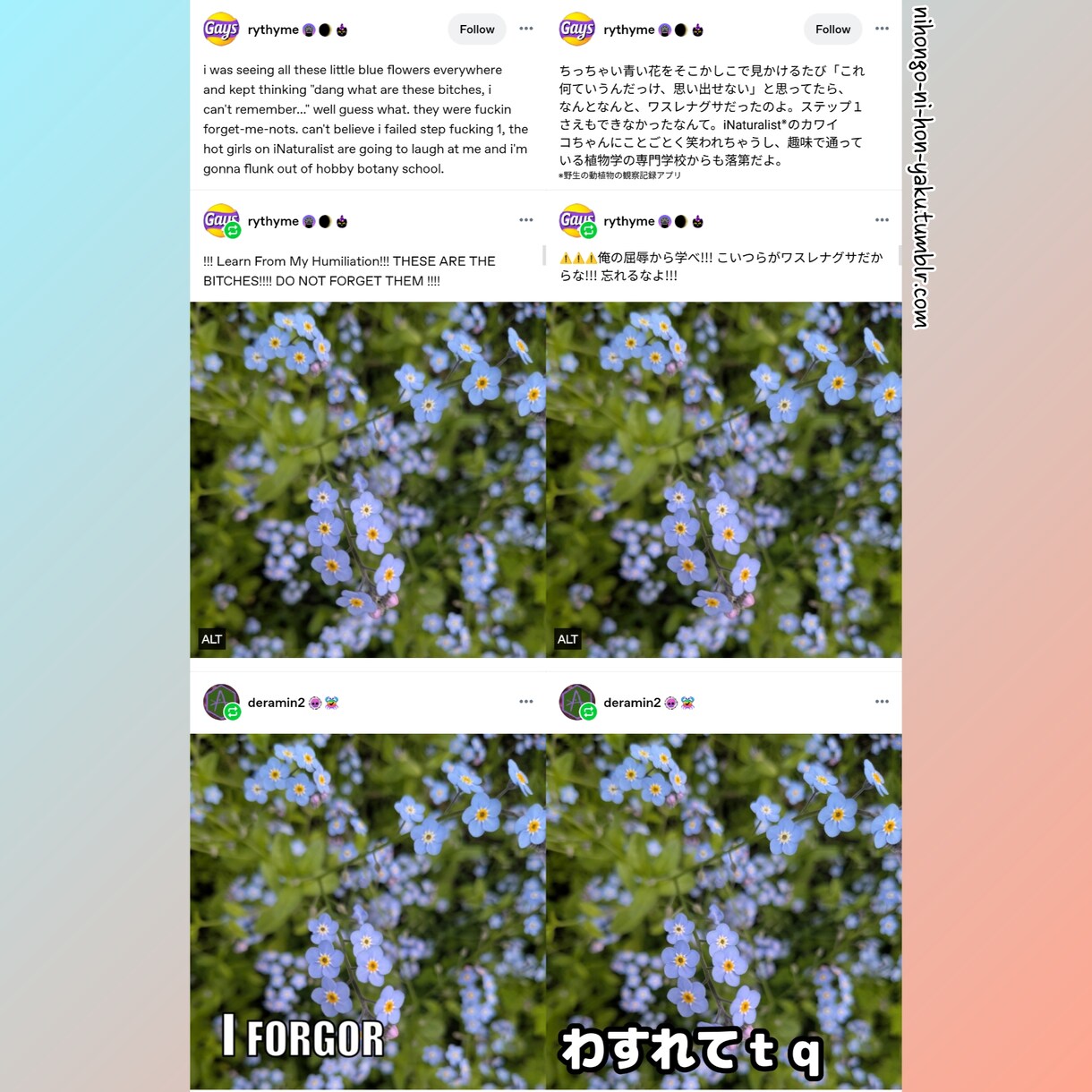 あなたの創作物を英語で光らせます プロに認められたローカライザーが英語に翻訳します イメージ4
