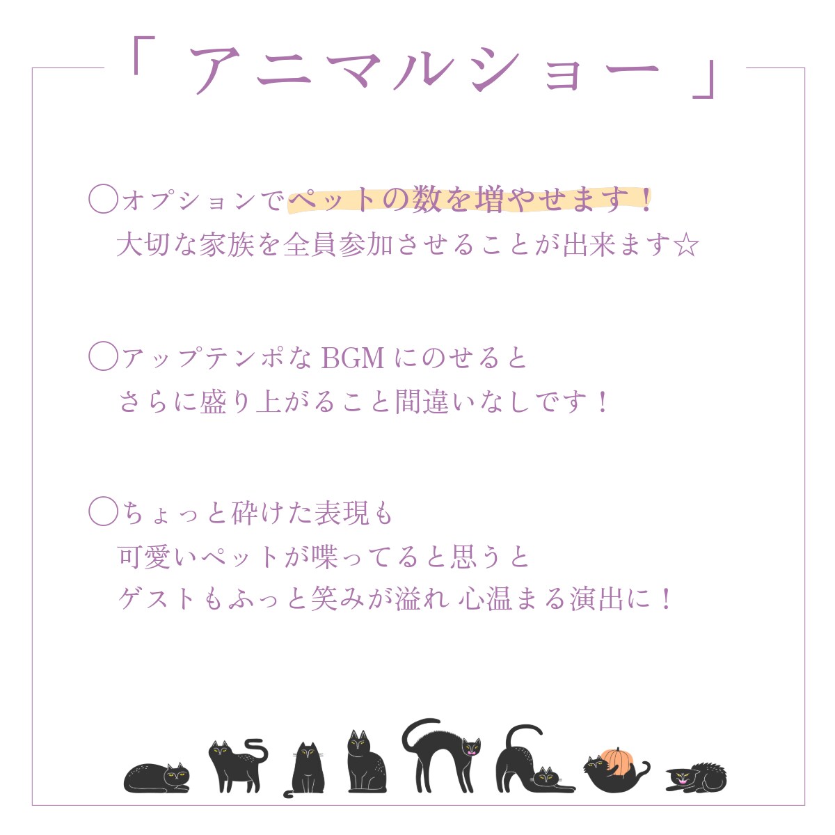 プロフィール・アニマルショーはペットが大活躍します 22000組のムービー制作の実績で高クオリティ・低コスト イメージ6