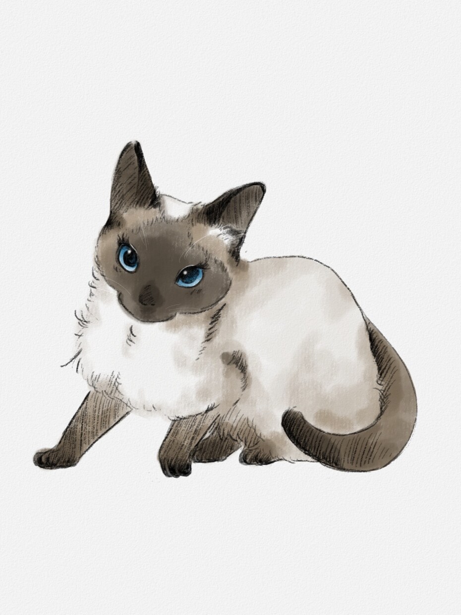 水彩風やポップにペットの似顔絵を描きます 柔らかな線画に水彩をのせたようなタッチです イメージ3