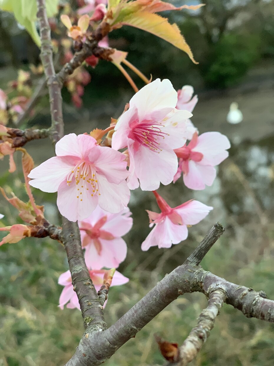 だれかに話したいとき聞きます 友達と思ってお気軽になーんでもお話してください^_^ イメージ1