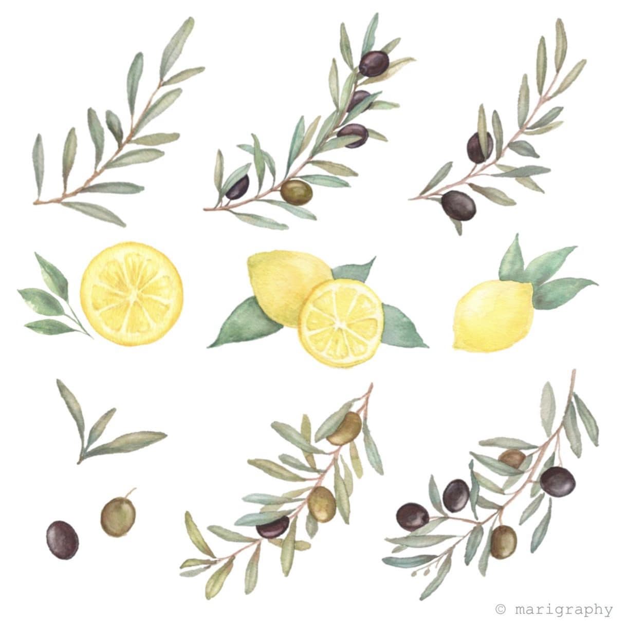 水彩画で植物のイラストを程よくリアルに描きます 〜丁寧なヒアリング〜 温かく優しいタッチが得意です♪ イメージ10