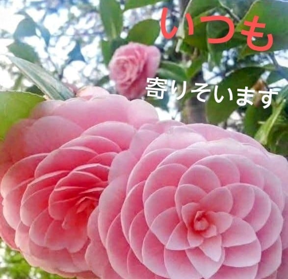 押し潰されそうな気持ち♡まるごと優しく受け止めます 繊細で変化が苦手❣️適応障害/パニック/心配性/執着/依存症 イメージ3