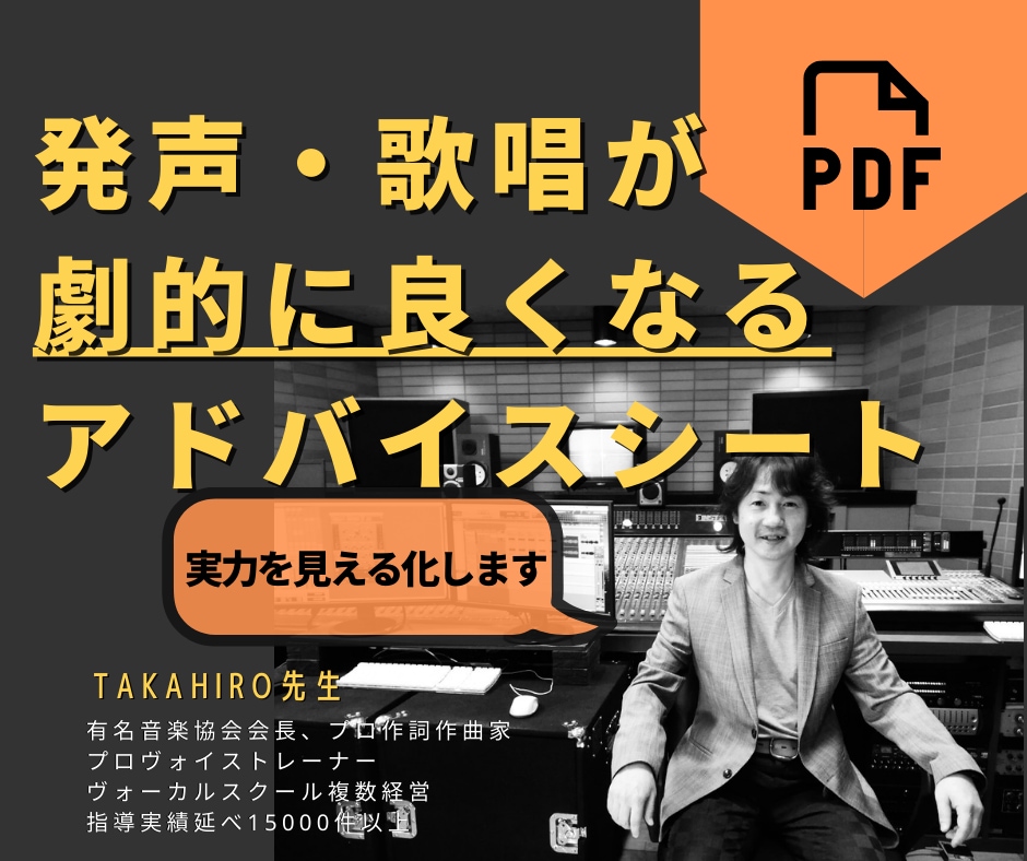 あなたの歌唱を解剖してチェックシートをお送ります これは分かりやすい！オリジナルチェックシートで具体化します イメージ1