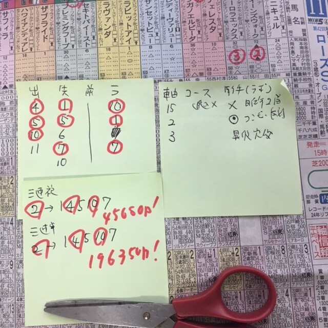 JRAが教えてくれない競馬の軸と穴法則伝授します 競馬チェックシートを使った簡単に軸穴馬が分かる方法 イメージ6