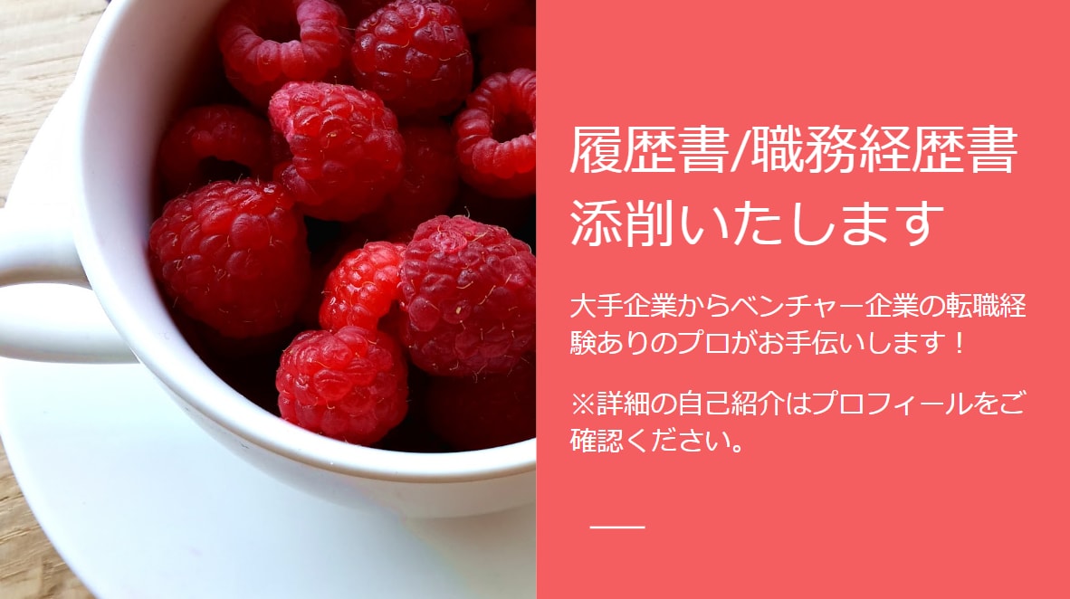 印象に残る履歴書職務経歴書をプロが丁寧に添削します 履歴書・職務経歴書のサポートします イメージ3